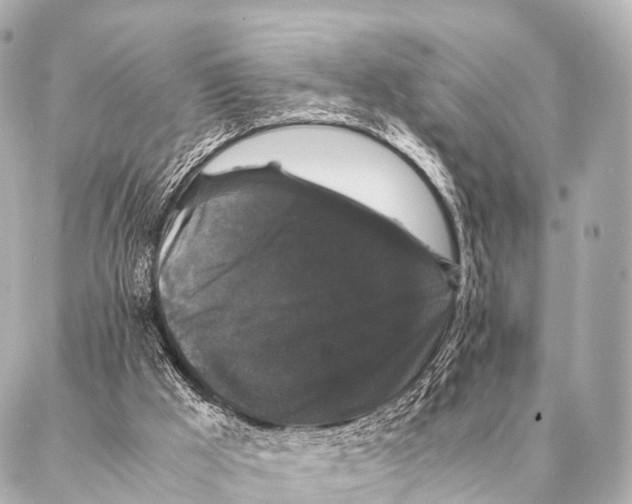 X0000087020009200705141908