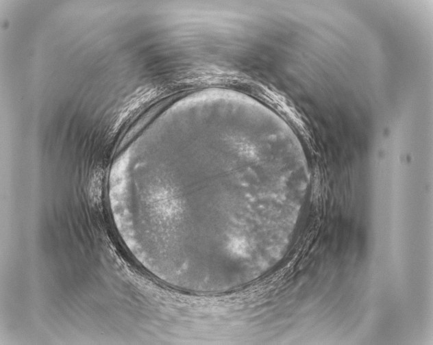 X0000087020010200705141908