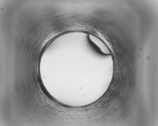 X0000087020011200705141908