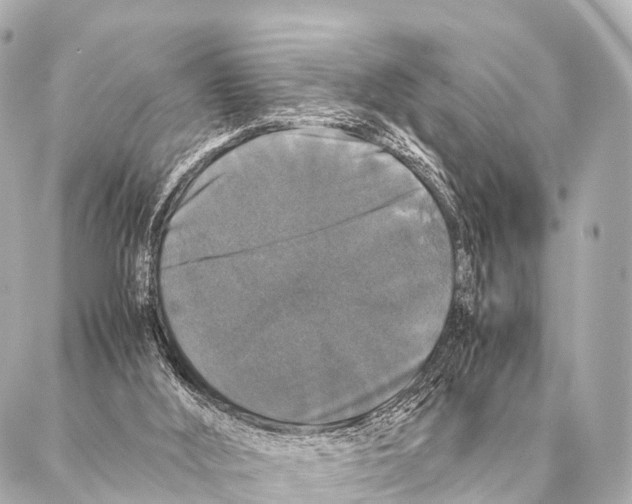 X0000087020012200705141908