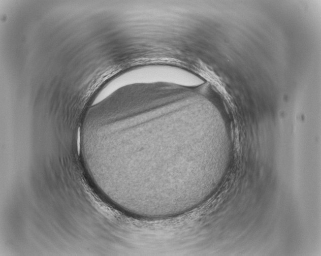 X0000087020013200705141908