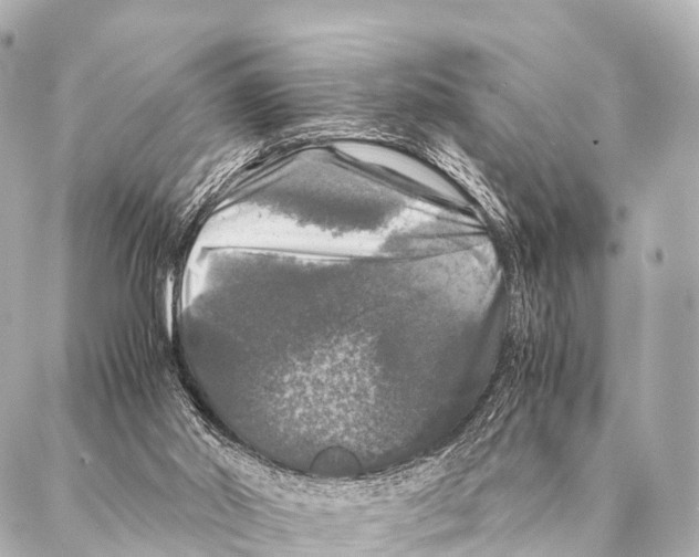 X0000087020014200705141908