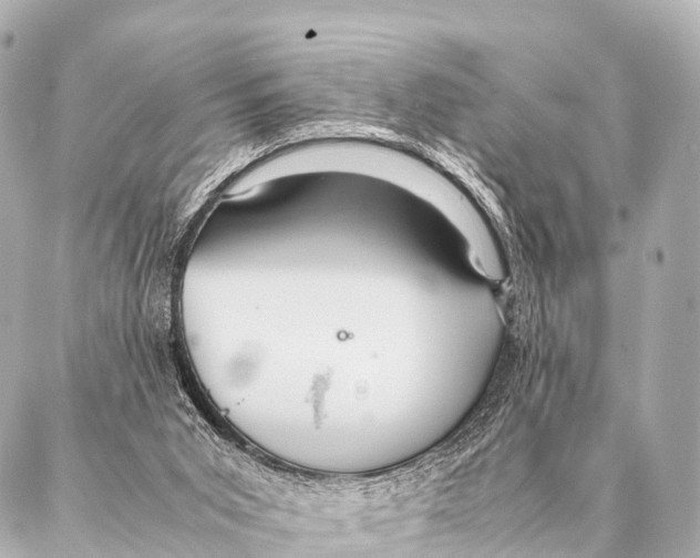 X0000087020015200705141908