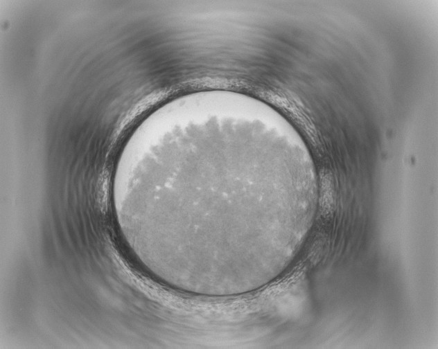 X0000087020016200705141908