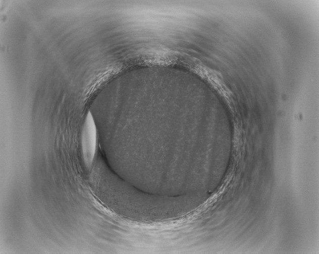 X0000087020017200705141908