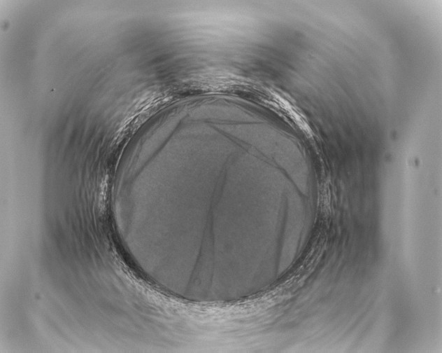 X0000087020018200705141908