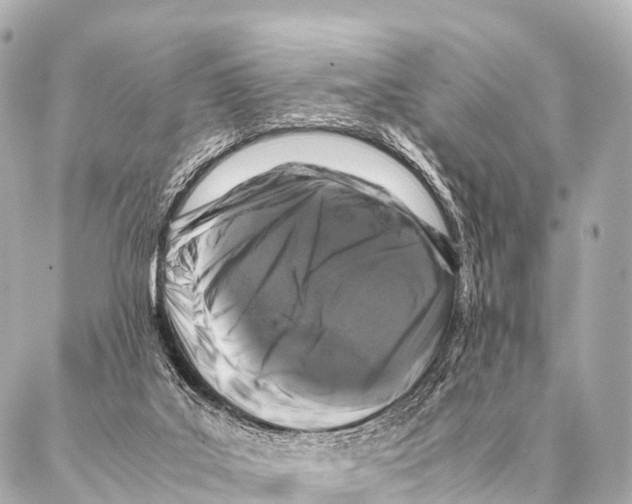 X0000087020019200705141908