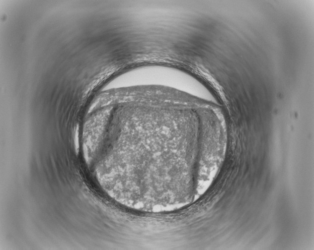 X0000087020020200705141908