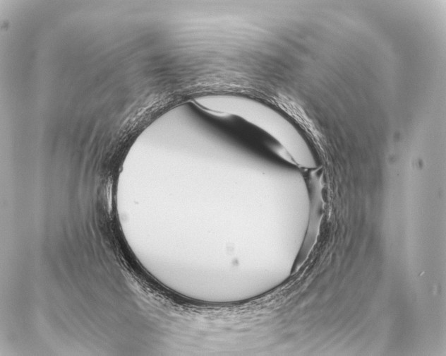 X0000087020021200705141908