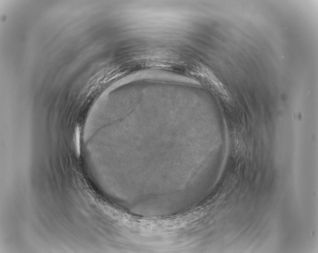 X0000087020022200705141908