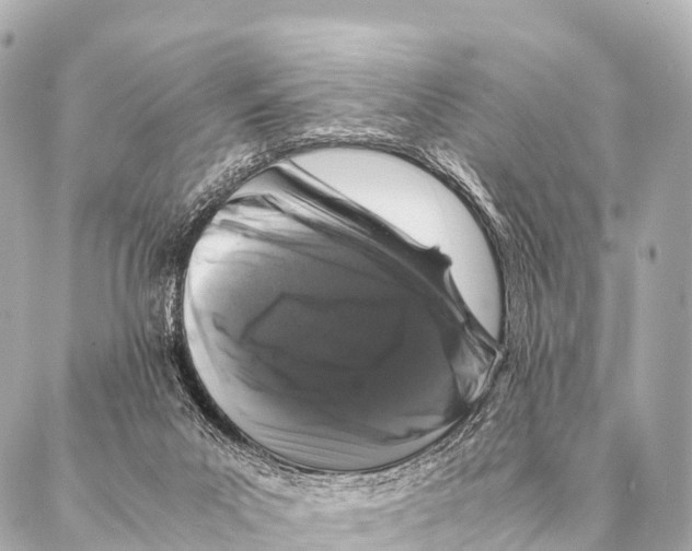 X0000087020023200705141908