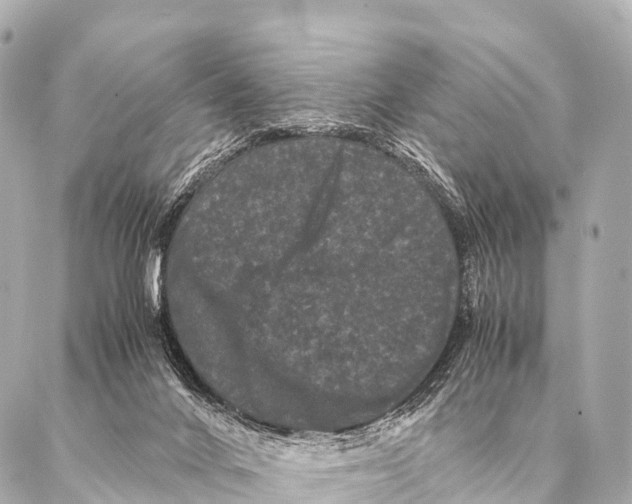 X0000087020024200705141908