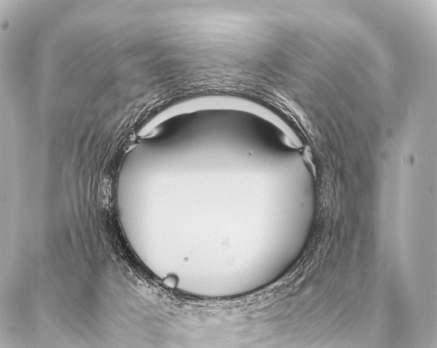 X0000087020025200705141908