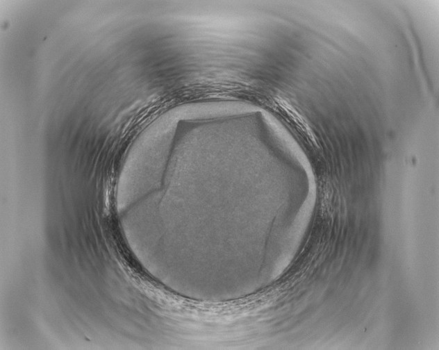 X0000087020026200705141908