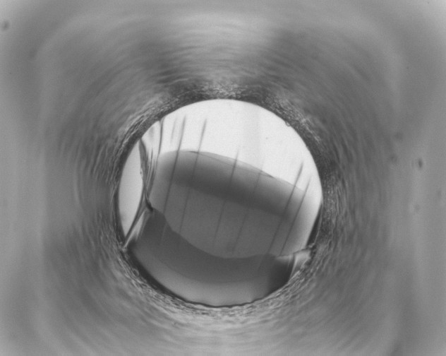 X0000087020027200705141908