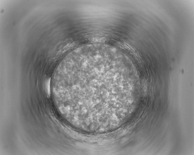 X0000087020028200705141908