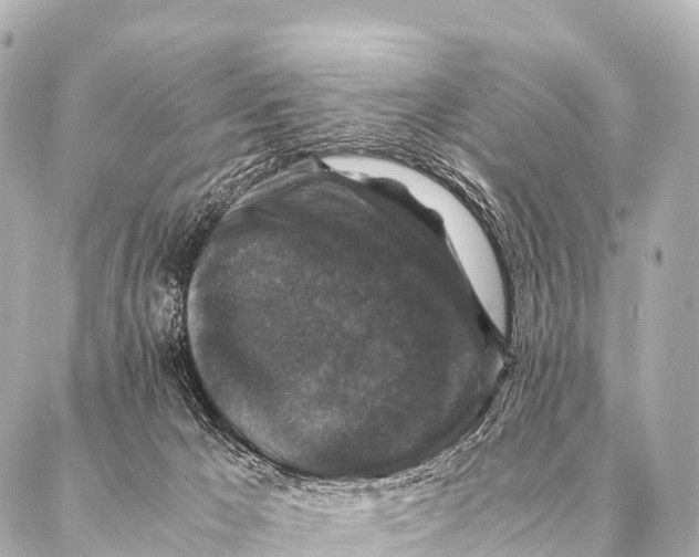 X0000087020029200705141908