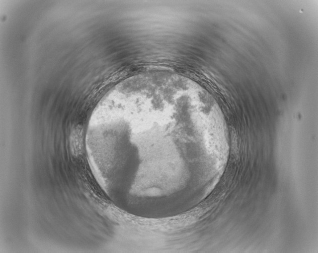 X0000087020030200705141907