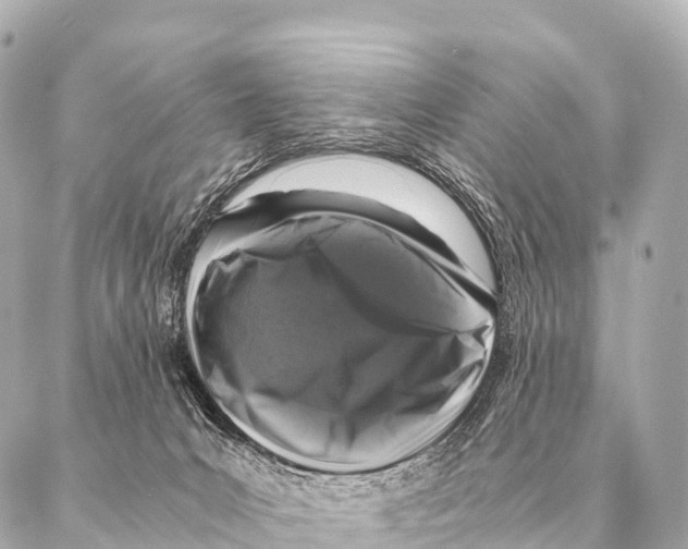 X0000087020031200705141907