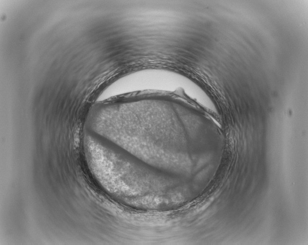 X0000087020032200705141907