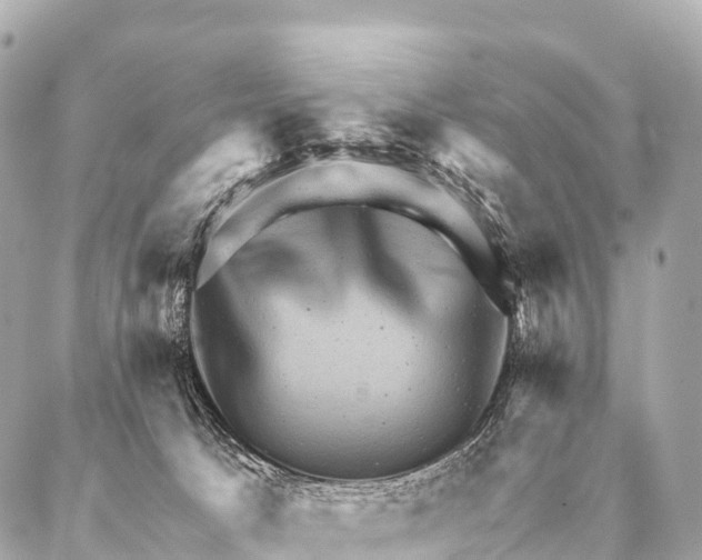 X0000087020033200705141907