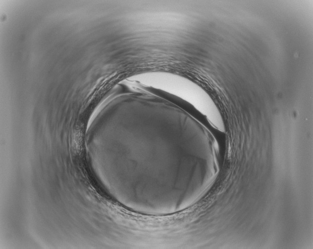 X0000087020035200705141907