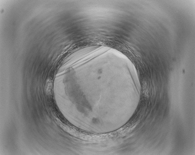 X0000087020036200705141907