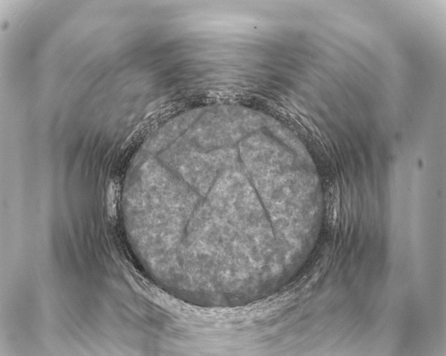 X0000087020038200705141907