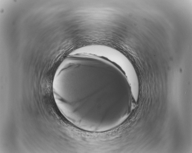 X0000087020039200705141907