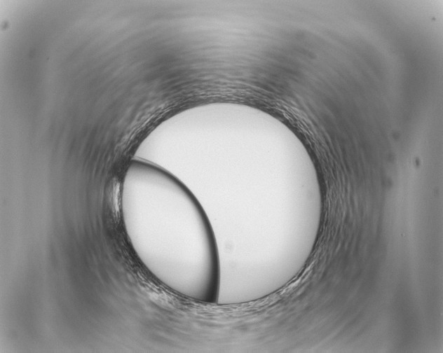 X0000087020041200705141907