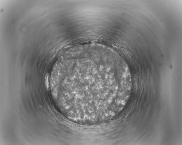 X0000087020042200705141907