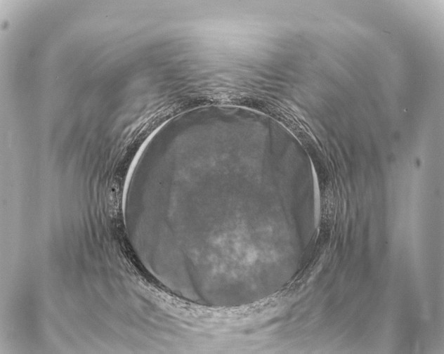 X0000087020043200705141907