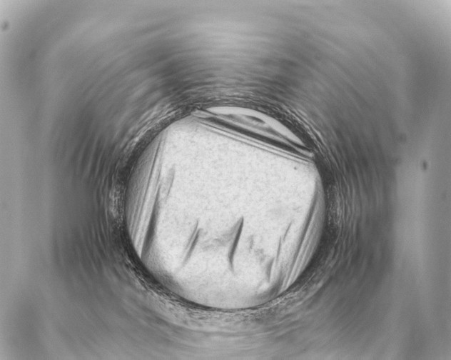 X0000087020044200705141907