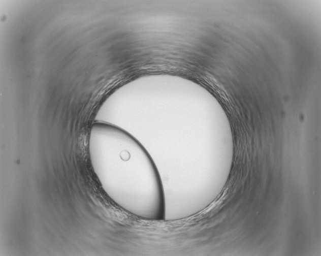 X0000087020045200705141907