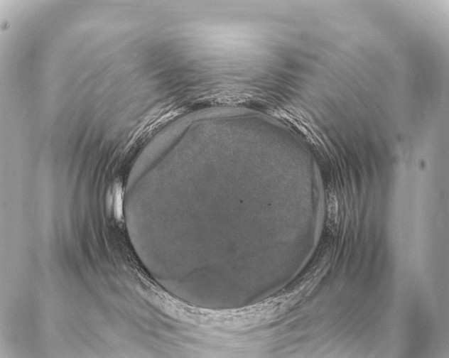 X0000087020046200705141907