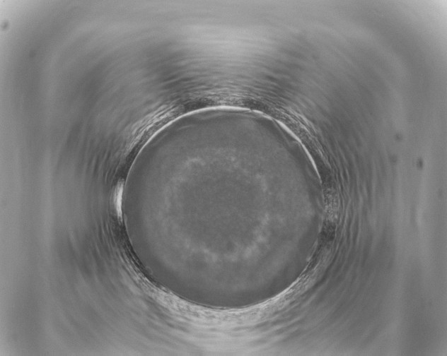 X0000087020047200705141907