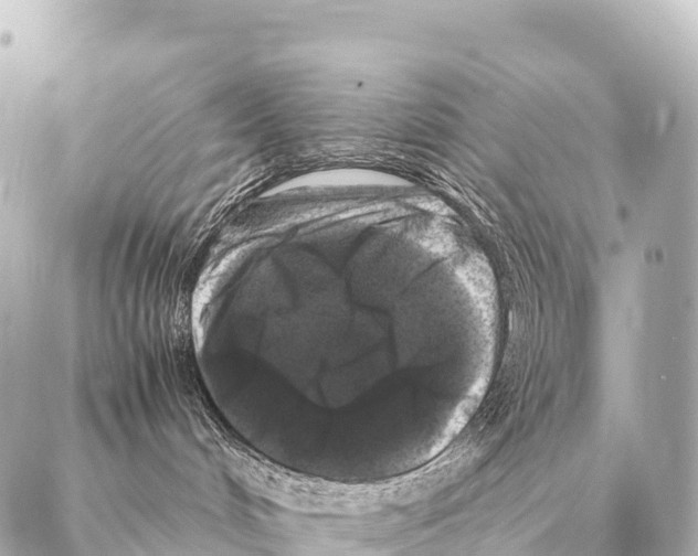 X0000087020048200705141907