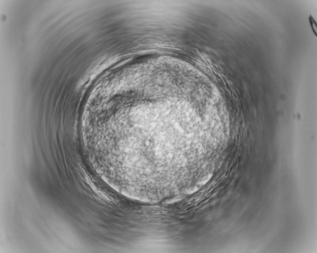 X0000087020050200705141906