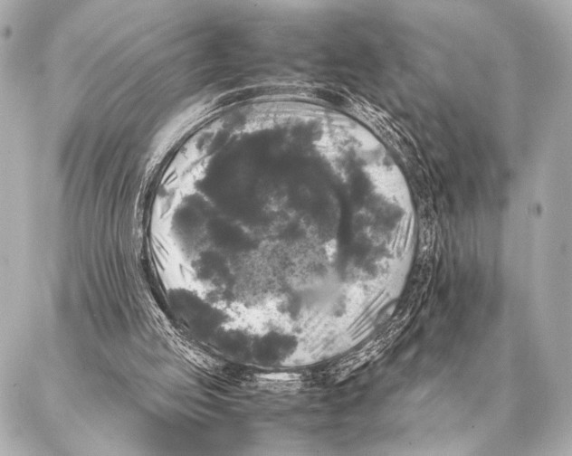 X0000087020053200705141906