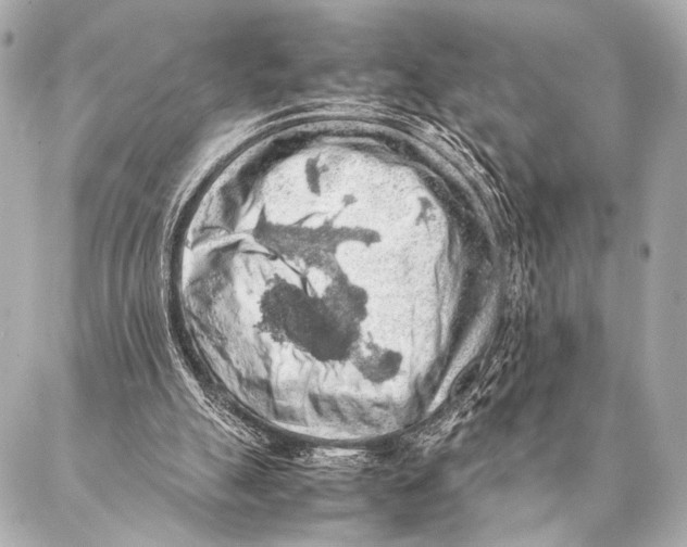 X0000087020055200705141907