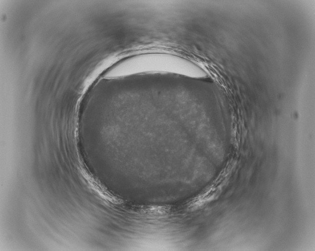 X0000087020056200705141907