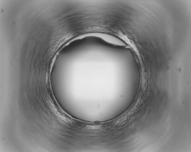 X0000087020057200705141907