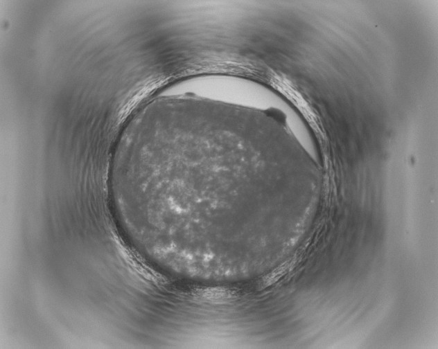 X0000087020058200705141907