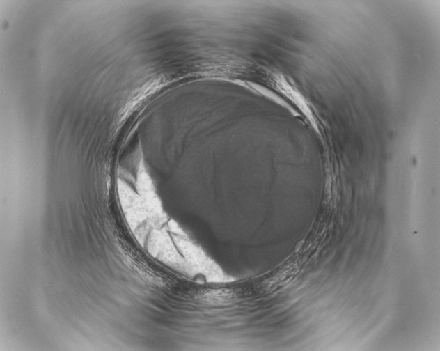 X0000087020059200705141907