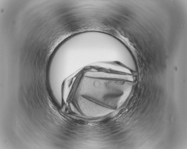 X0000087020060200705141907