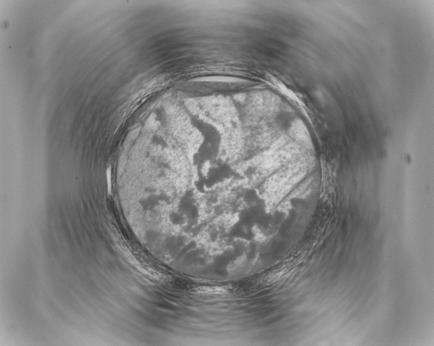 X0000087020061200705141907