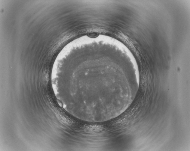 X0000087020063200705141907