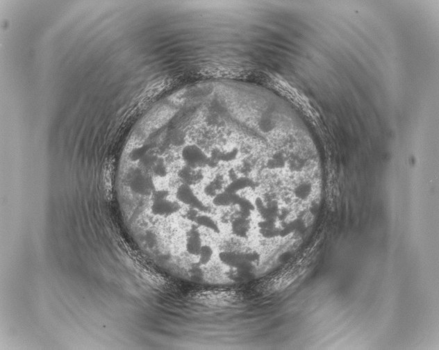 X0000087020065200705141907