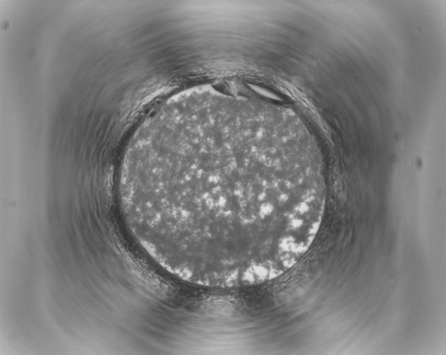 X0000087020066200705141907