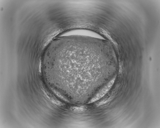 X0000087020068200705141907